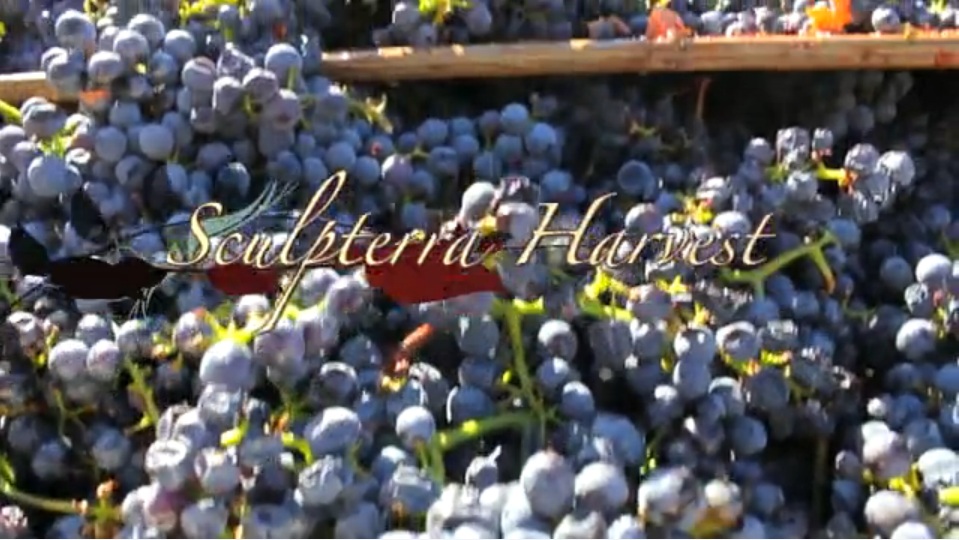 Sculpterra Harvest 2012