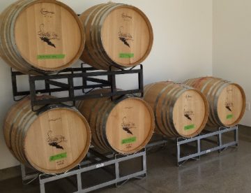 wine barrels - malolactic fermentation