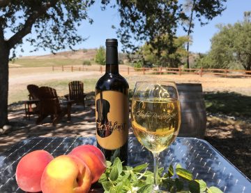 Violinist Viognier from Shadow Run Vineyards & Winery - Paso Robles