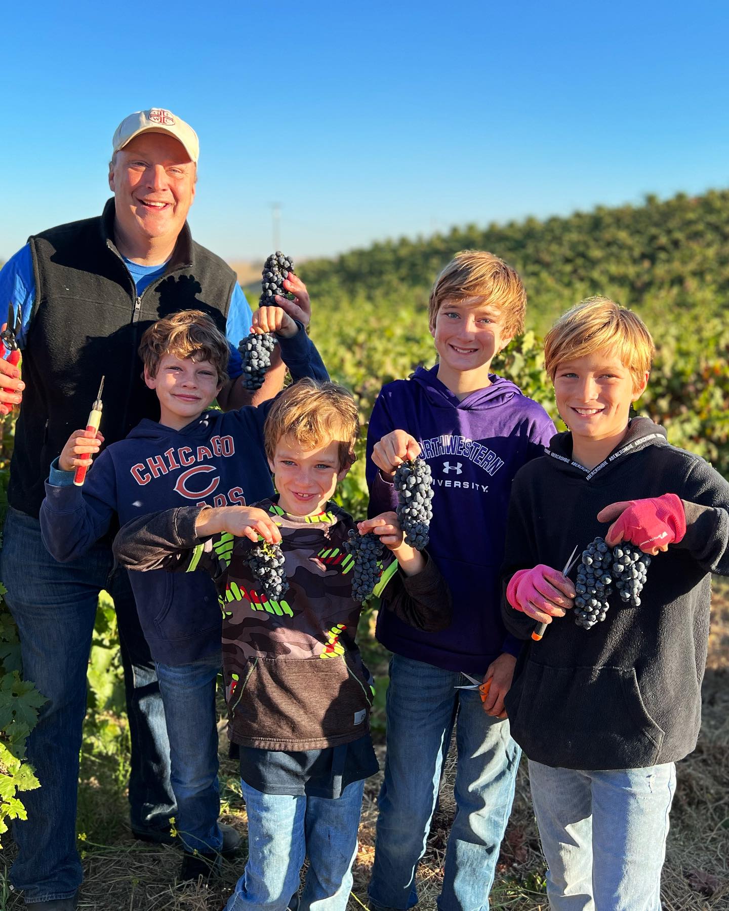 Glunz Family Winery - 2023 Zinfandel Harvest - Paso Robles