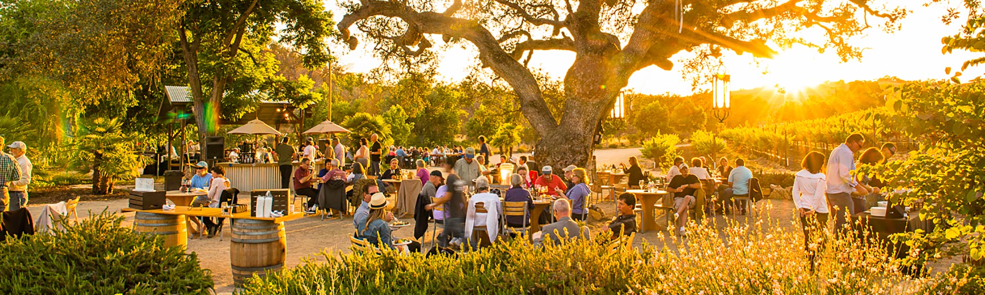 Taste of the Back Roads - Grand Tasting 