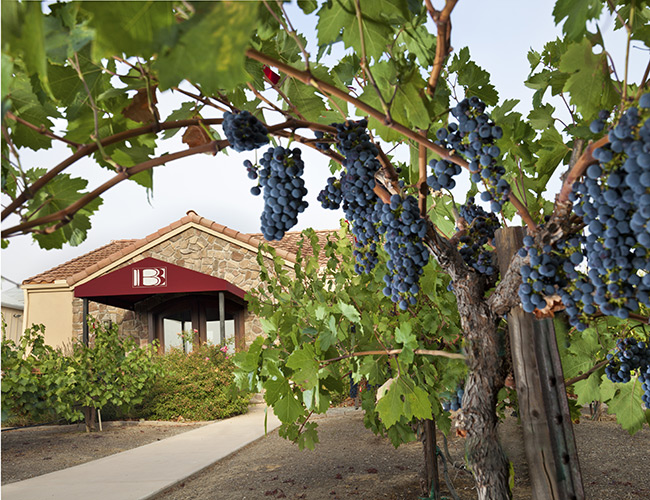 Barr Estate Winery