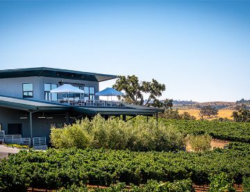 Bovino Vineyards