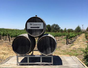 Sarzotti Vineyard & Winery