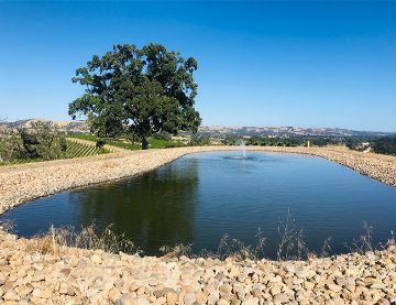 Seven Angels Cellars