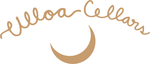 Ulloa Cellars Logo